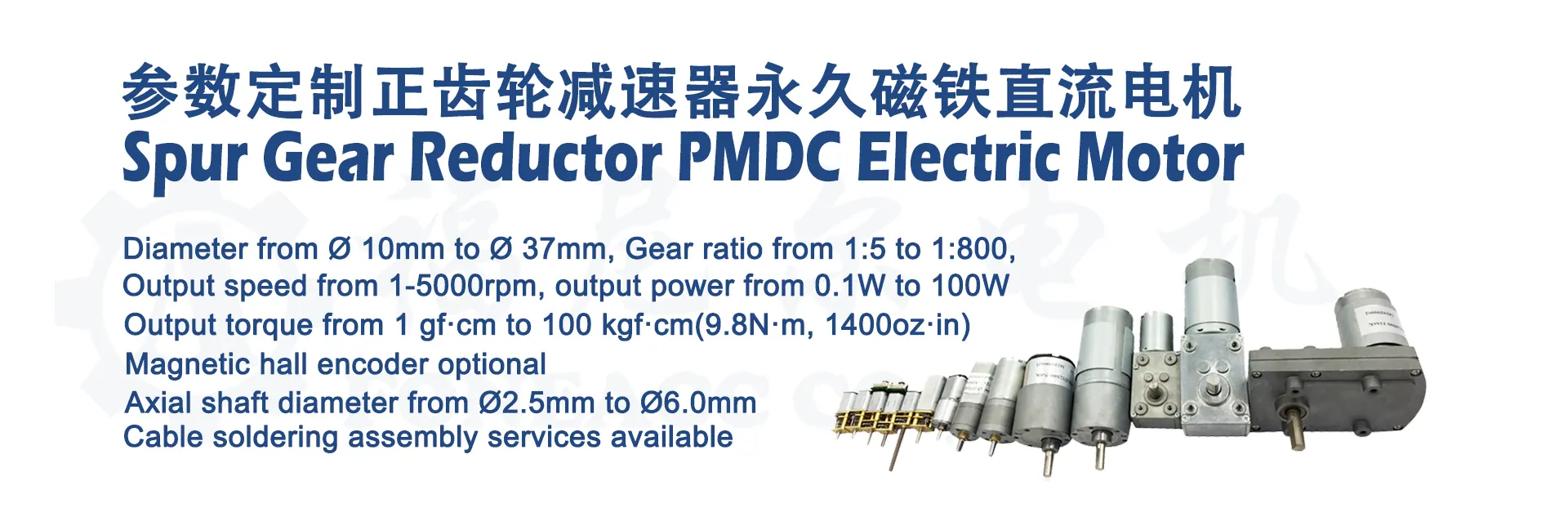 micro spur gear dc electric motors 